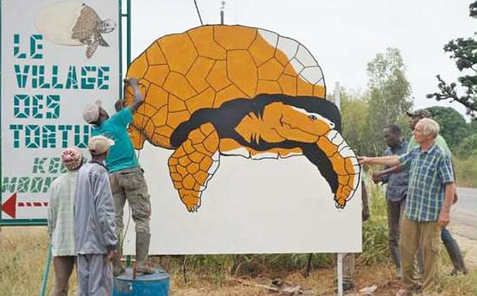 A large effigy of a Sulcata Tortoise being erected to encourage visitors to the Sulcata Tortoise Village.