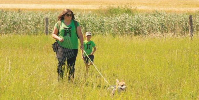Surveying the area and searching for nests