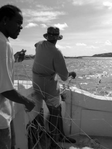 James Gumbs (in the hat) of the Department of Fisheries and Marine Resources, Anguilla, sets a BCG-funded turtle net during TCOT sampling work in Anguilla.
