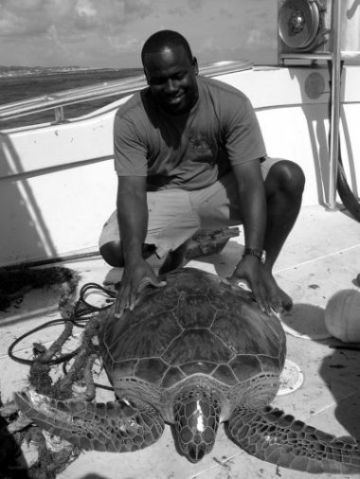 Carlos Sasso of the Department of Fisheries and Marine Resources, Anguilla, with a sub-adult green turtle caught using the BCG-funded turtle net.