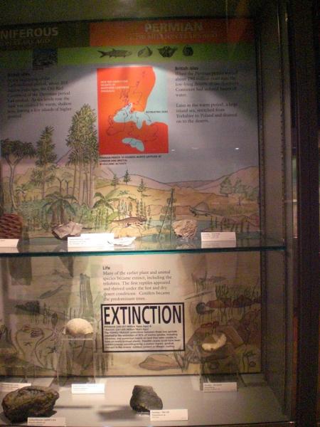 Fig. 3. The time line display at Haslemere Educational Museum showing the late Permian mass extinction.