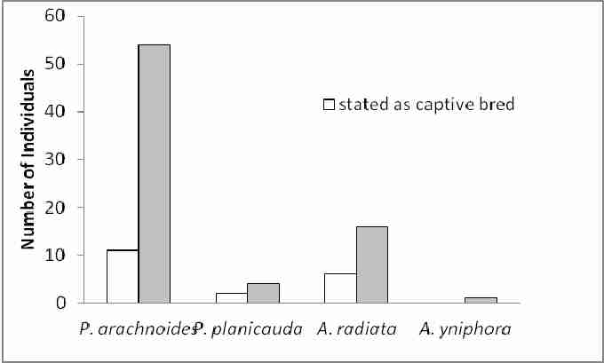 Fig. 5. Results of an Internet based trade monitoring exercise undertaken during September 2009 by the author, documenting the number of Madagascar’s four endemic, Critically Endangered tortoise species offered for sale (Pyxis arachnoides, P. planicauda, Astrochelys radiata and A. yniphora). The graph shows the total number of animals from each species offered for sale openly advertised as captive bred versus the total number of animals which are not stated as captive bred.